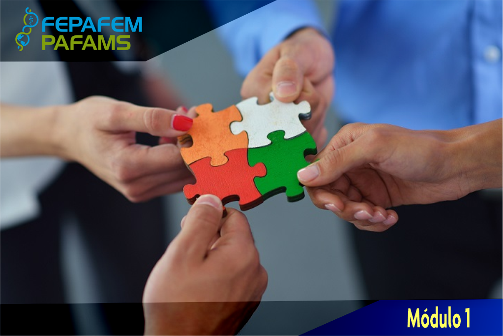 Módulo 1: Gestión académica y calidad en los programas educativos médicos